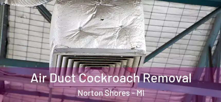  Air Duct Cockroach Removal Norton Shores - MI