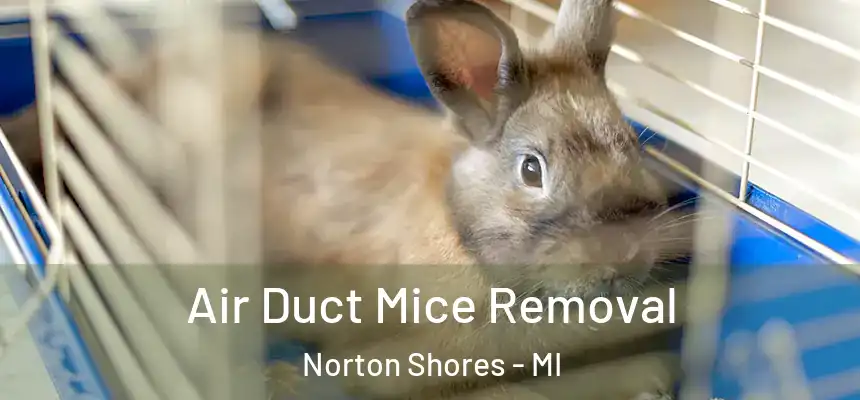  Air Duct Mice Removal Norton Shores - MI