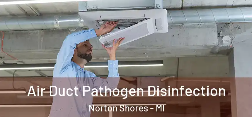 Air Duct Pathogen Disinfection Norton Shores - MI