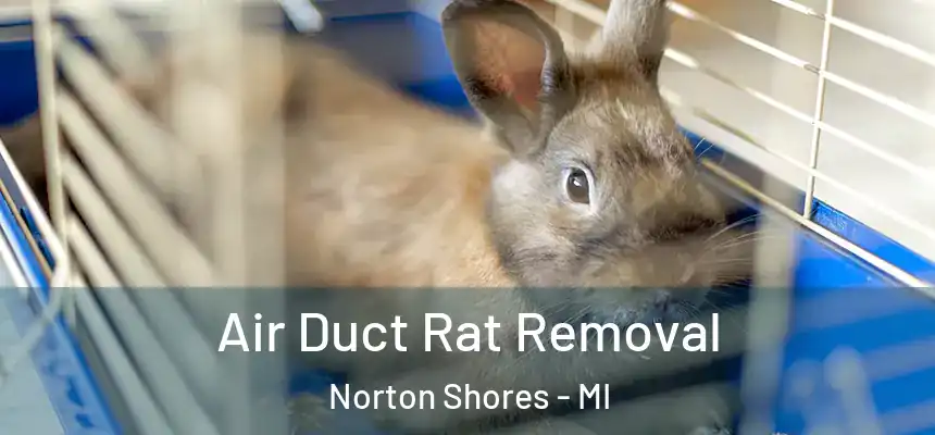 Air Duct Rat Removal Norton Shores - MI
