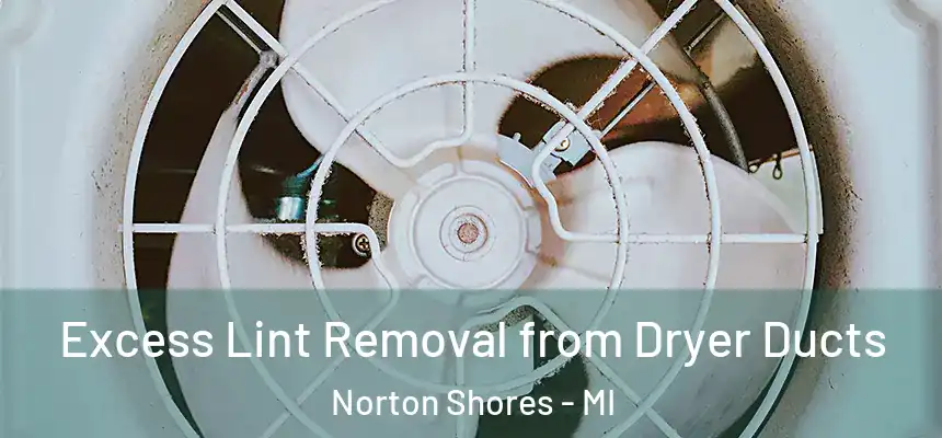 Excess Lint Removal from Dryer Ducts Norton Shores - MI