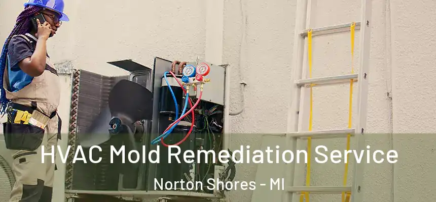 HVAC Mold Remediation Service Norton Shores - MI