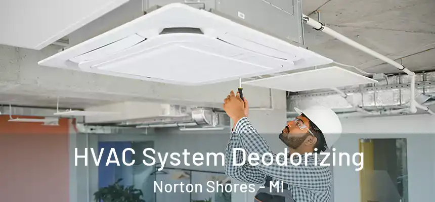  HVAC System Deodorizing Norton Shores - MI