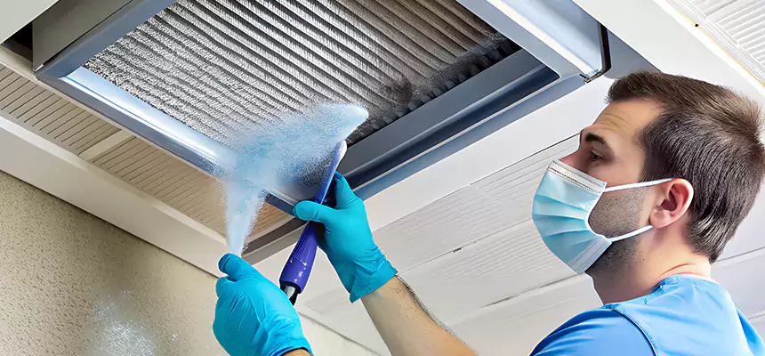 Proactive Dryer Vent & Auxiliary Duct Pollen Cleanup in Norton Shores, MI