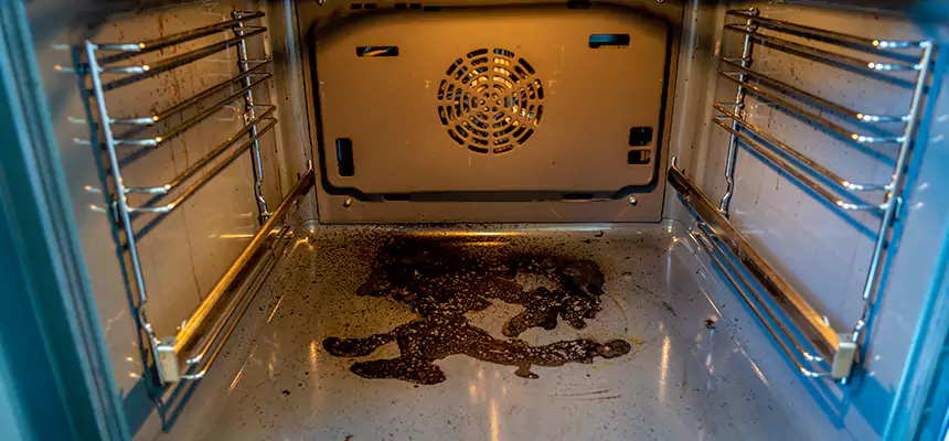 Our Dryer Vent Mold Cleaning Services in Norton Shores, MI