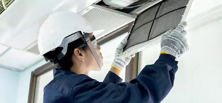 Our Mold & Mildew Removal from Air Ducts Services in Norton Shores, MI