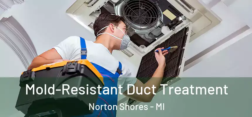  Mold-Resistant Duct Treatment Norton Shores - MI