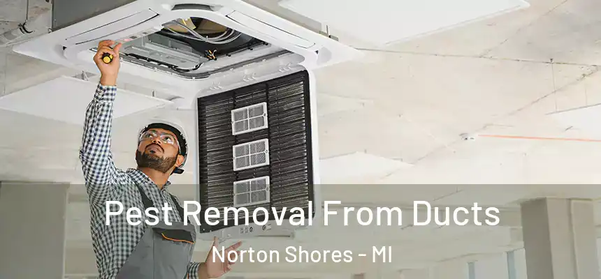 Pest Removal From Ducts Norton Shores - MI