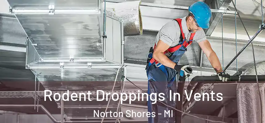  Rodent Droppings In Vents Norton Shores - MI