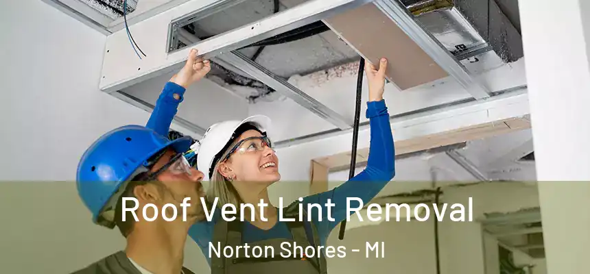  Roof Vent Lint Removal Norton Shores - MI
