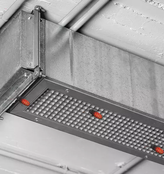 About Air Duct Cockroach Removal in Norton Shores, MI