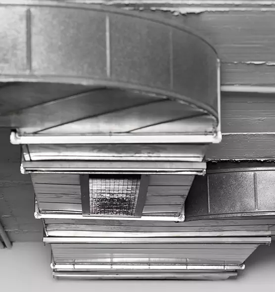 Professional Air Duct Pest Removal in Norton Shores, MI