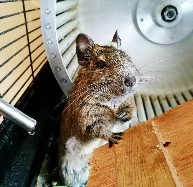 Why Homeowners & Businesses Trust Us Norton Shores, MI